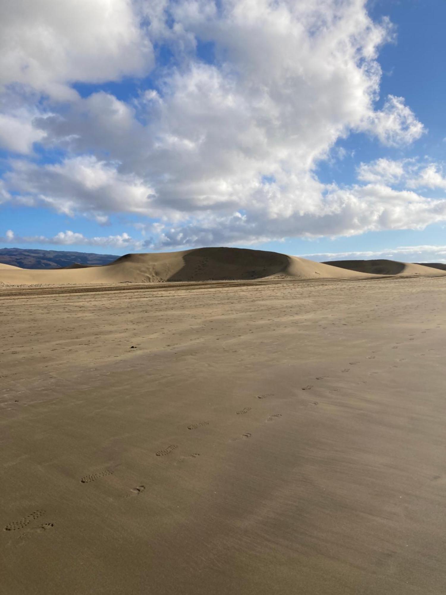 Maspalomas Living Las Brisas Bungalow Leilighet Playa del Inglés Eksteriør bilde